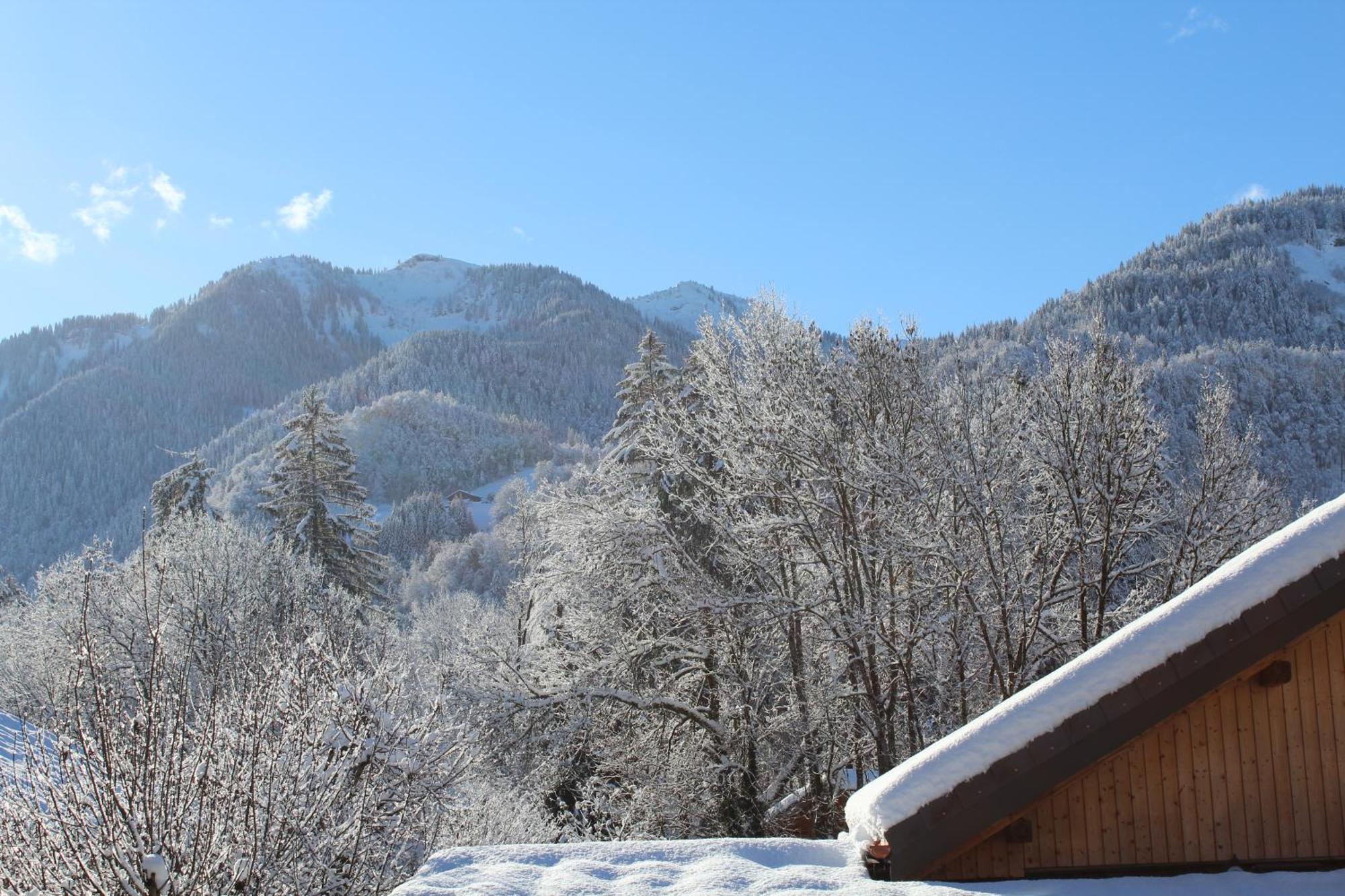 Multi Residences Samoëns מראה חיצוני תמונה